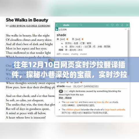 探秘实时沙拉翻译插件，小巷深处的宝藏与神秘面纱揭秘