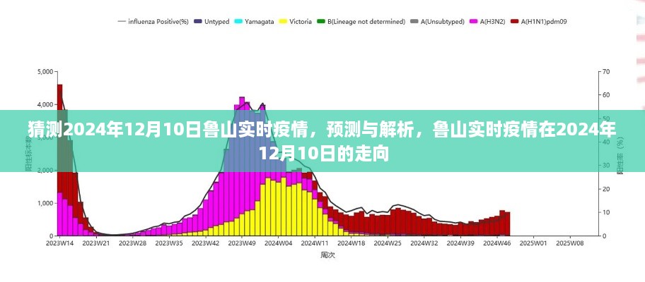 鲁山实时疫情预测解析，2024年12月10日的走向与趋势