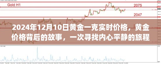 2024年12月 第303页