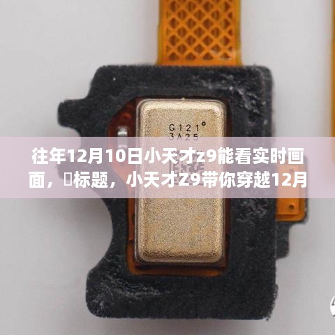 小天才Z9实时画面探索，12月10日的自然时光之旅