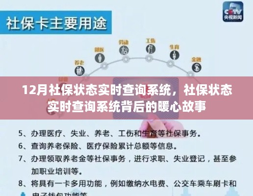 社保实时查询系统背后的暖心故事，12月社保状态实时更新功能揭秘