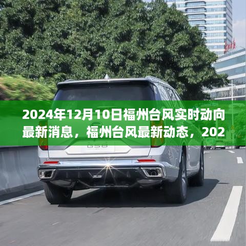 2024年台风动态更新，福州台风实时动向与影响回顾