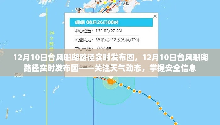 台风珊瑚路径实时发布图，关注天气动态，掌握安全信息