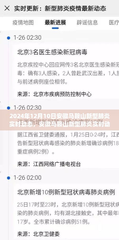 安徽马鞍山新型肺炎实时动态，聚焦分析与个人立场观点解读（2024年12月10日）