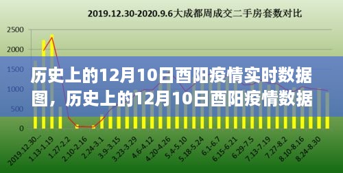 历史上的12月10日酉阳疫情实时数据图，变化中的力量与自信之光展现学习成果