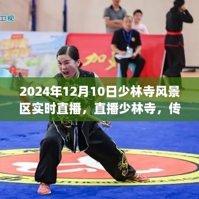 2024年少林寺风景区直播，传统与现代交融的挑战与机遇