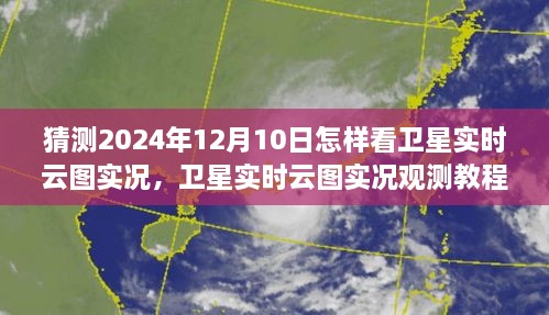 2024年12月10日卫星实时云图实况观测教程，如何操作与解读