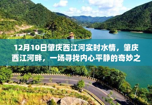 12月10日肇庆西江河情，内心平静的奇妙之旅的江河新颂