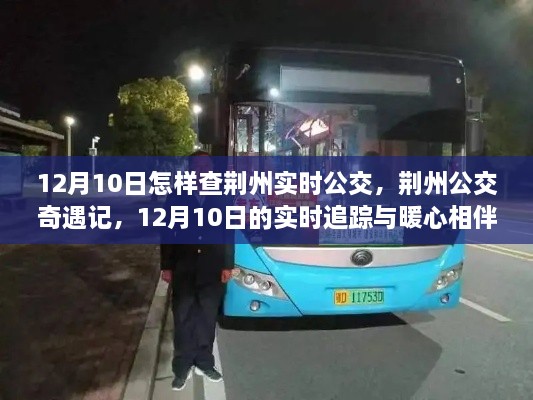 荆州公交奇遇记，实时追踪与暖心相伴的公交体验之旅（12月10日）