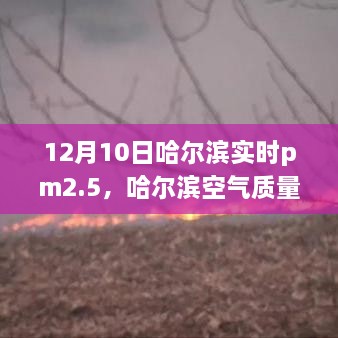 哈尔滨空气质量报告，聚焦PM2.5实时数据（12月10日）