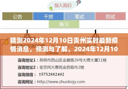 2024年12月10日贵州疫情最新消息预测与获取指南