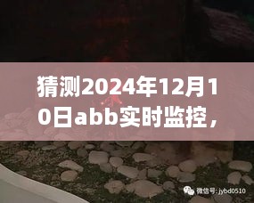 ABB实时监控探秘小巷深处瑰宝，独特小店时光记录于2024年12月10日