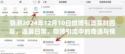 微博引流奇遇与情感纽带，温馨日常的实时回复展望2024年12月10日