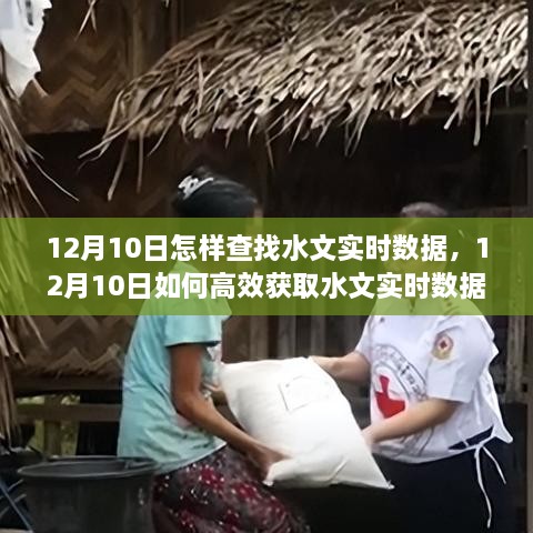 12月10日水文实时数据获取攻略，多维度探讨与解析