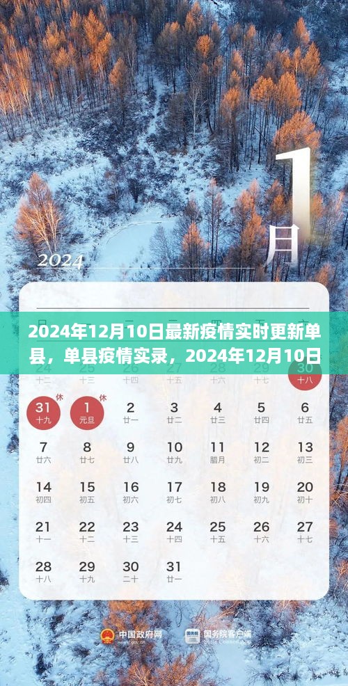 2024年12月10日单县疫情实时更新，实录、动态与影响洞察