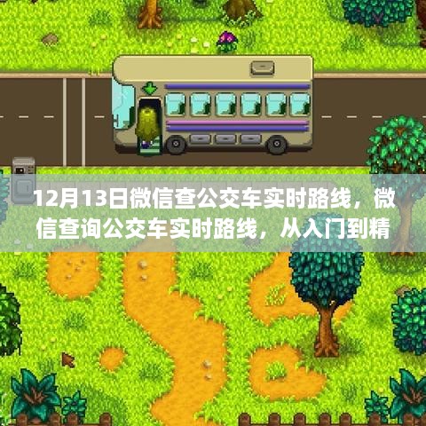 2024年12月 第257页