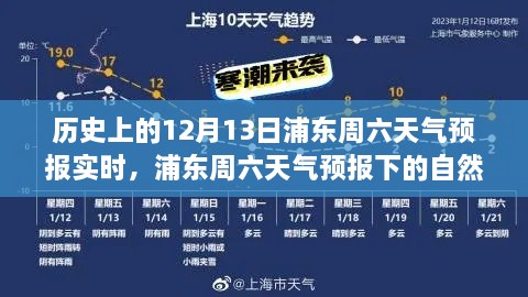 浦东周六天气预报下的自然探索之旅，历史与未来的交汇点