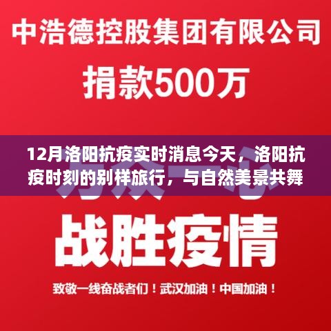 洛阳抗疫实时更新，与自然共舞，寻找内心宁静绿洲的别样旅行