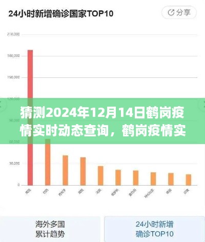 鹤岗疫情预测与查询指南，初学者与进阶用户适用的实时动态查询指南（预测至2024年12月14日）