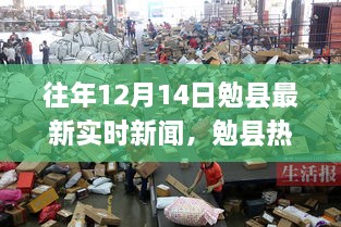 往年12月14日勉县最新实时新闻速递与热点详解