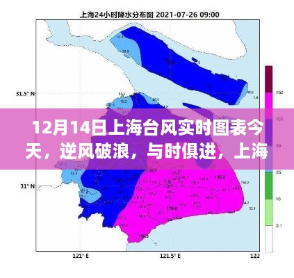 2024年12月 第248页