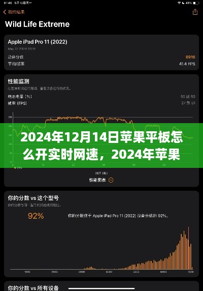 2024年苹果平板网速实时监测设置指南，开启实时网速显示功能