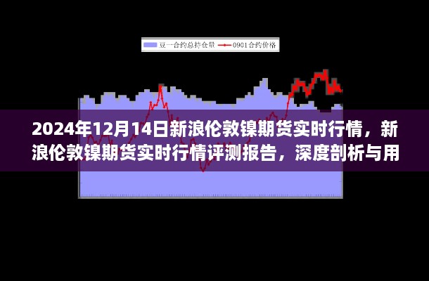 深度解析，新浪伦敦镍期货实时行情评测报告及用户体验分析（2024年12月14日版）