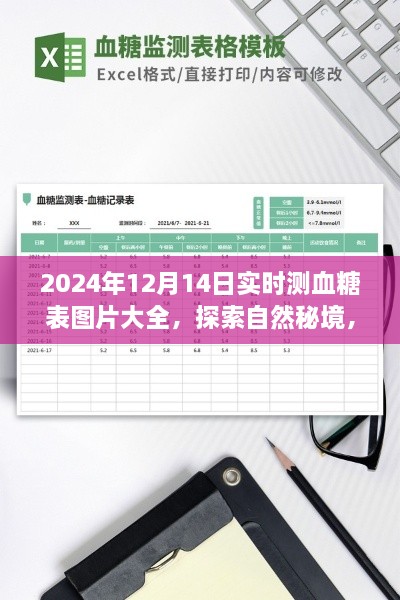 2024年12月 第241页