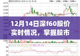 12月14日深F60股价实时动态详解，掌握股市行情的指南