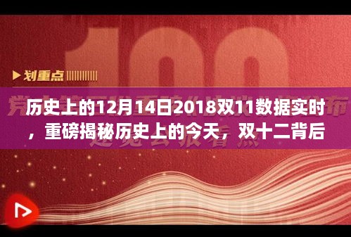 独家揭秘，小红书解读2018双11实时数据纪实，双十二背后的故事与闪耀数字瞬间回顾