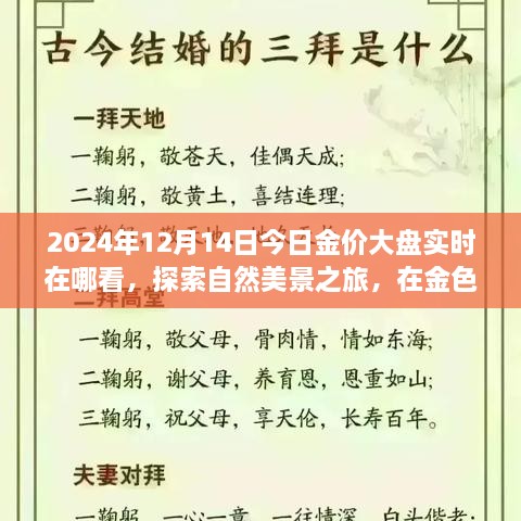 2024年12月 第237页