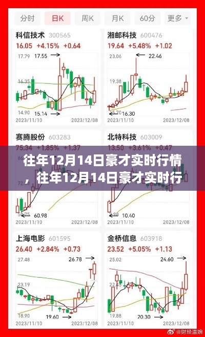 往年12月14日豪才实时行情深度解析与全面评测介绍