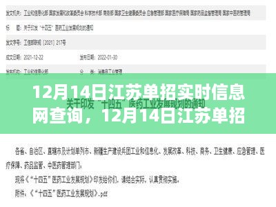 江苏单招实时信息网查询日，探寻信息网上的温馨探秘之旅