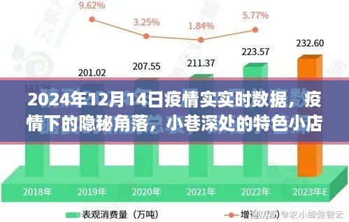 2024年12月 第231页