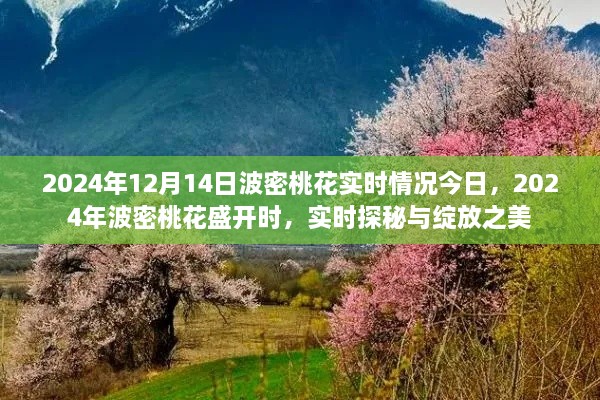 探秘波密桃花盛开之美，实时记录绽放时刻（2024年12月14日）