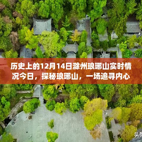 揭秘历史上的今天，滁州琅琊山12月14日的实时情况与心灵之旅