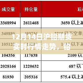 沪铅期货实时行情走势，铅市风云变幻中的温情与陪伴