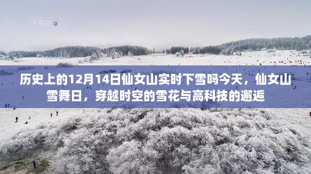 仙女山雪舞日，历史与科技的邂逅，穿越时空的雪花今日实时飘舞