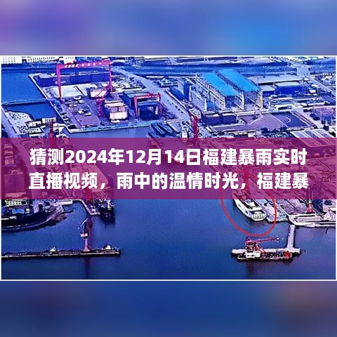 福建暴雨直播预告，温情时光与直播小趣事，2024年12月14日福建暴雨实时直播视频回顾