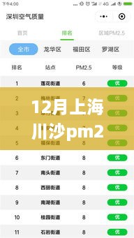 上海川沙PM2.5实时查询，重要性、影响及深入分析与观点阐述