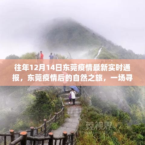 东莞疫情后的自然之旅，寻找内心平静的探险之旅（实时疫情通报）