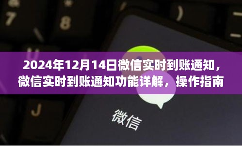 微信实时到账通知功能详解，操作指南与关键要点解析（2024年最新版）