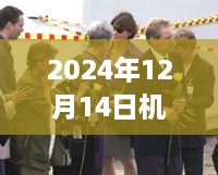 2024年12月 第225页