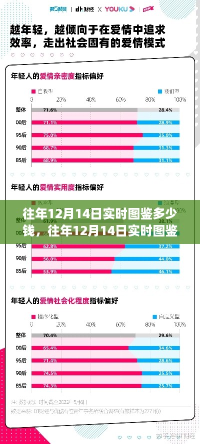 往年12月14日实时图鉴深度解析，价格、特性、用户体验与目标用户群体评测