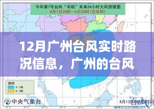 广州台风下的自然探索，实时路况与内心宁静之旅