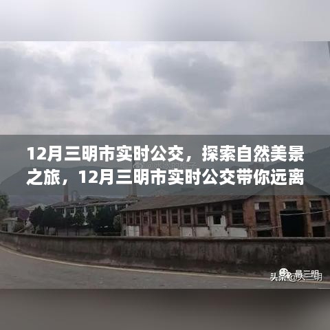 12月三明市实时公交，自然美景之旅，探寻内心的宁静与喜悦