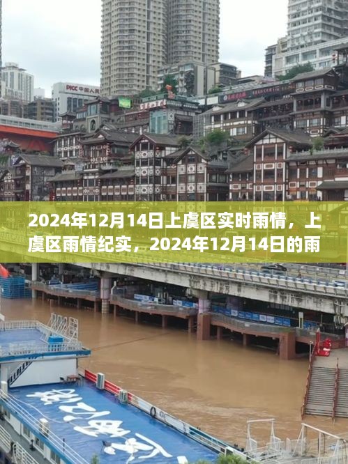 上虞区雨情纪实，2024年12月14日的雨幕与回响