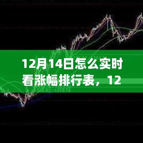 揭秘股市涨幅排行表，实时洞悉市场动向的秘诀（12月14日版）