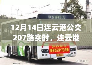 2024年12月 第217页