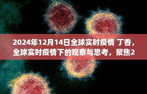 聚焦丁香观点，全球实时疫情下的观察与思考——2024年12月14日疫情报告